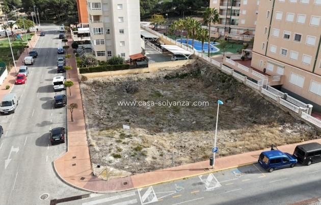 Herverkoop - Land - Guardamar del Segura - Costa Blanca