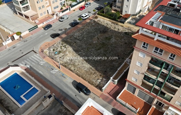 Herverkoop - Land - Guardamar del Segura - Costa Blanca