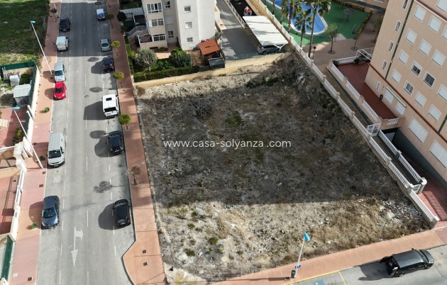 Herverkoop - Land - Guardamar del Segura - Costa Blanca