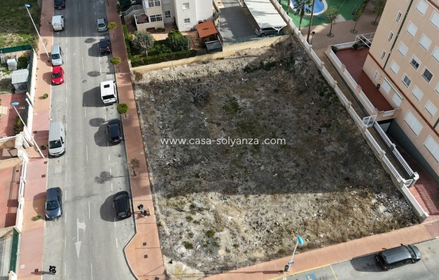 Herverkoop - Land - Guardamar del Segura - Costa Blanca