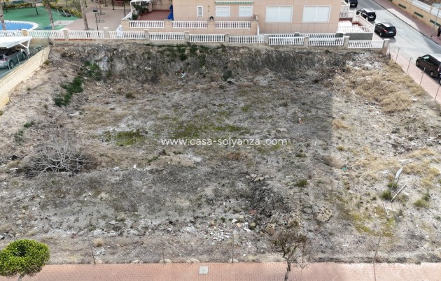 Herverkoop - Land - Guardamar del Segura - Costa Blanca