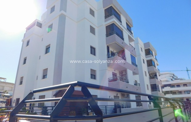 Herverkoop - Appartement / flat - San Miguel de Salinas - San Miguel Salinas