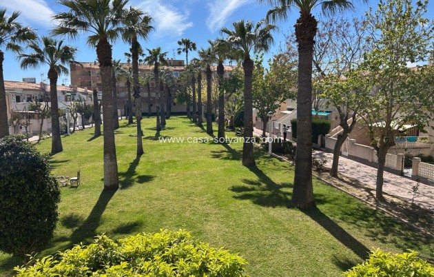 Wiederverkauf - Wohnung - Cabo Roig