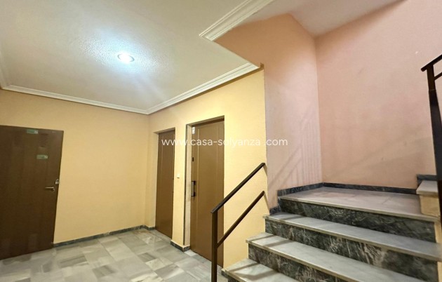 Herverkoop - Appartement / flat - Torrevieja - Acequion