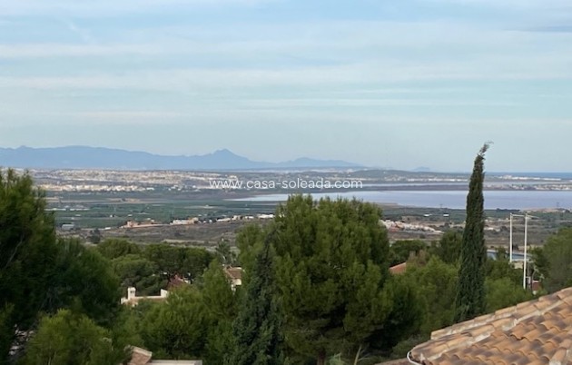 Revente - Villa - San Miguel de Salinas - Inland