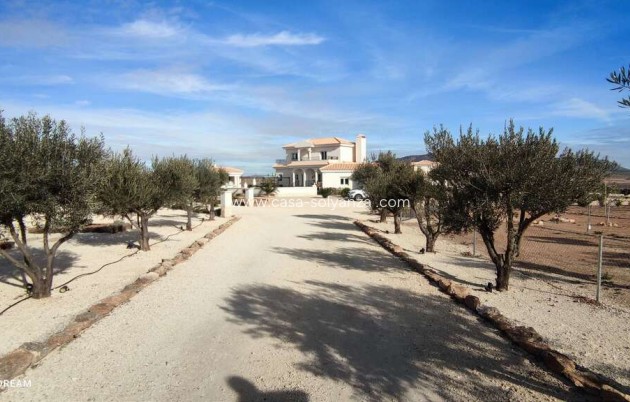 Resale - Villa - Pinoso - Inland