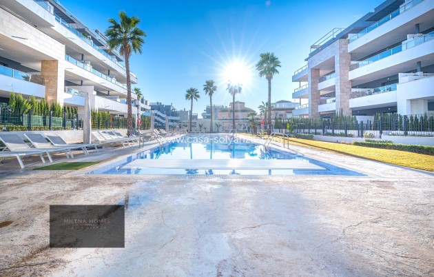 Herverkoop - Appartement / flat - Orihuela Costa - La Zenia