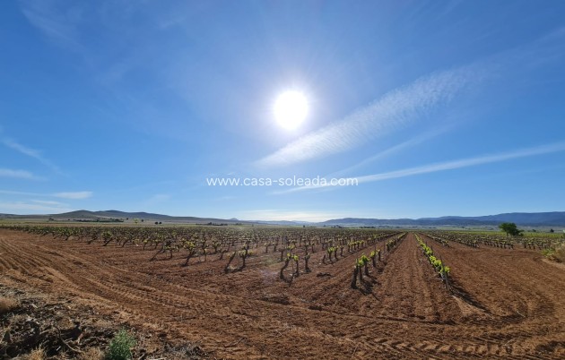 Resale - Villa - Yecla - Inland