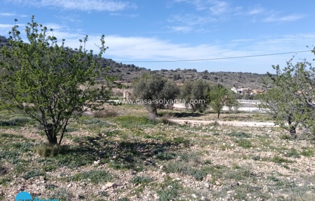 Herverkoop - Villa - Abanilla