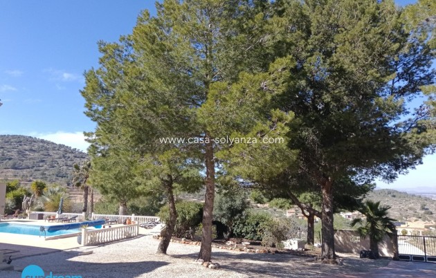 Herverkoop - Villa - Abanilla