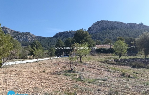 Herverkoop - Villa - Abanilla