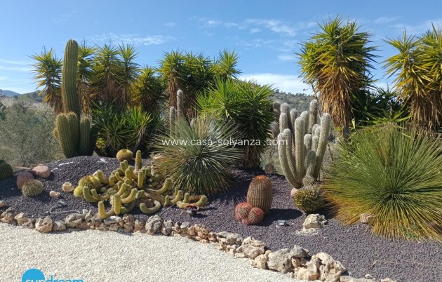 Herverkoop - Villa - Abanilla