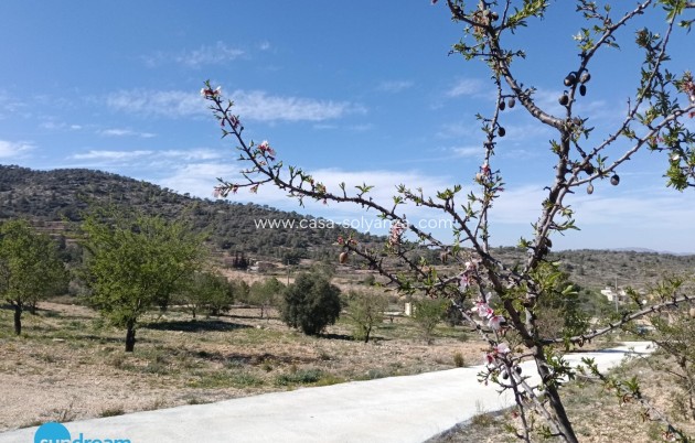 Herverkoop - Villa - Abanilla