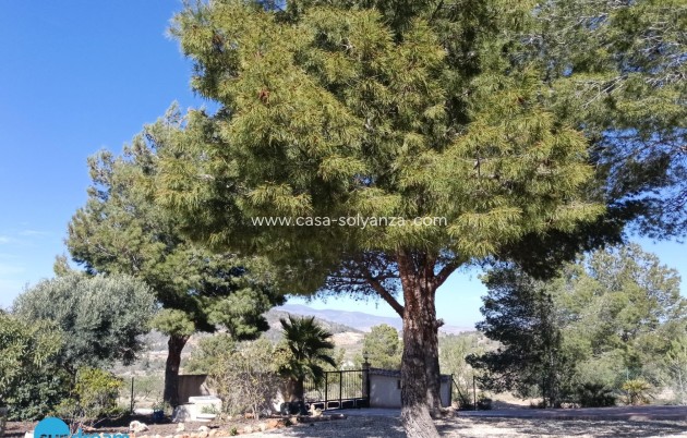 Herverkoop - Villa - Abanilla