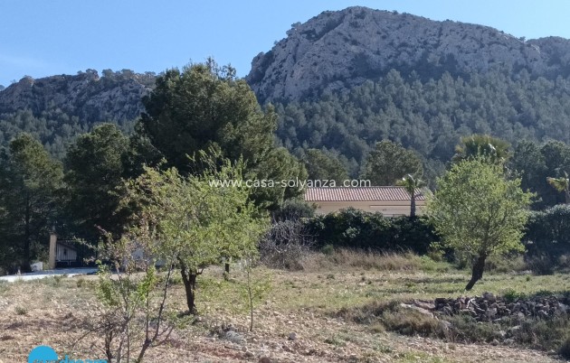 Herverkoop - Villa - Abanilla