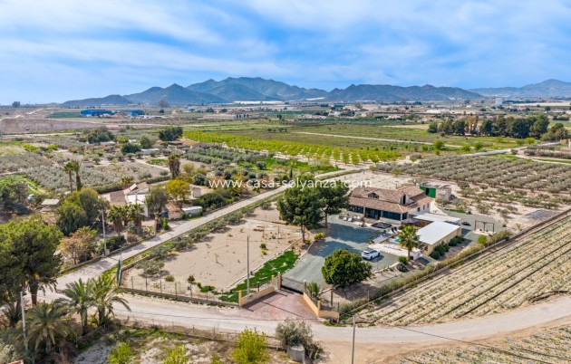 Herverkoop - Country Property/Finca - El Esparragal - Inland