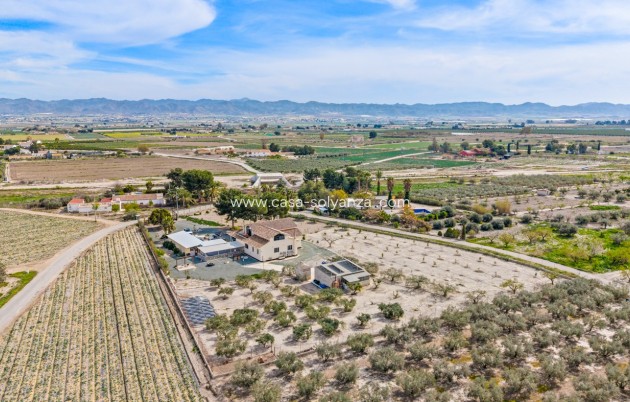 Herverkoop - Country Property/Finca - El Esparragal - Inland