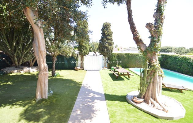 Herverkoop - Villa - Torrevieja - Torreta Florida