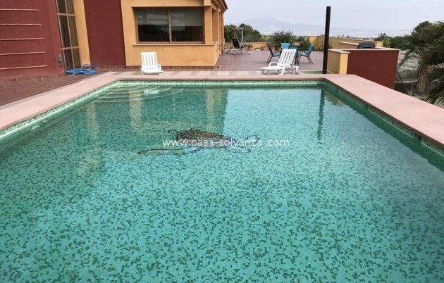 Resale - Country Property/Finca - Totana - Costa Calida
