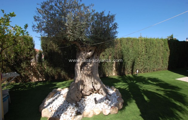 Revente - Villa - Ciudad Quesada - Costa Blanca