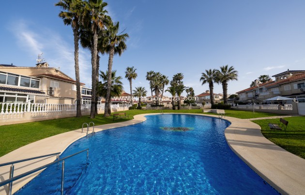 Revente - Appartement - Playa Flamenca - Zenia Mar