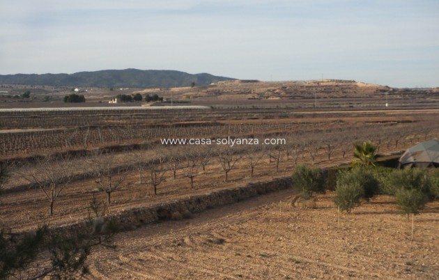 Resale - Country Property/Finca - Pinoso - Inland