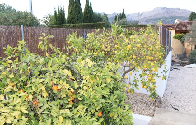 Resale - Villa - Orba - Inland