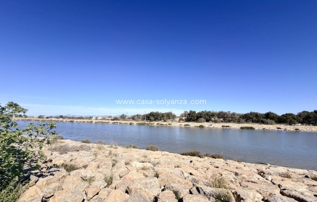 Herverkoop - Appartement / flat - Guardamar del Segura - Costa Blanca