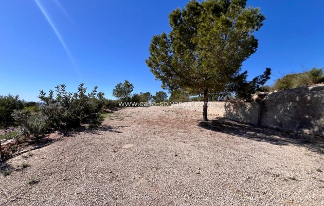 Revente - Country Property/Finca - Barinas - Inland