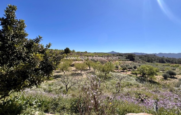 Revente - Country Property/Finca - Barinas - Inland