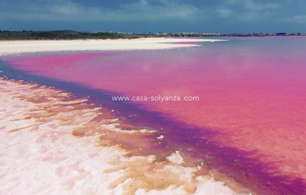 Resale - Apartment / flat - Villamartin - Costa Blanca