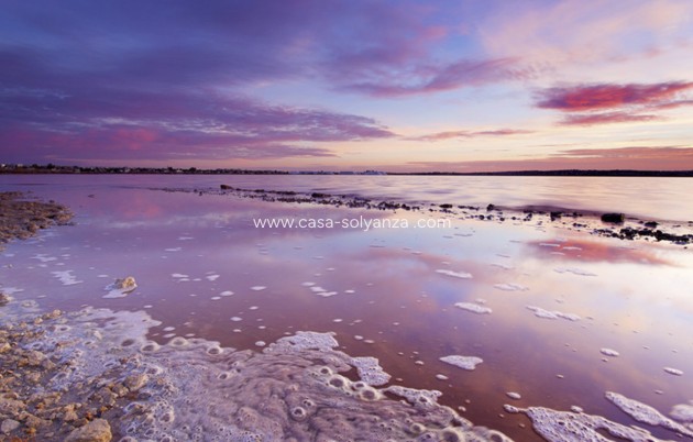 Resale - Apartment / flat - Villamartin - Costa Blanca