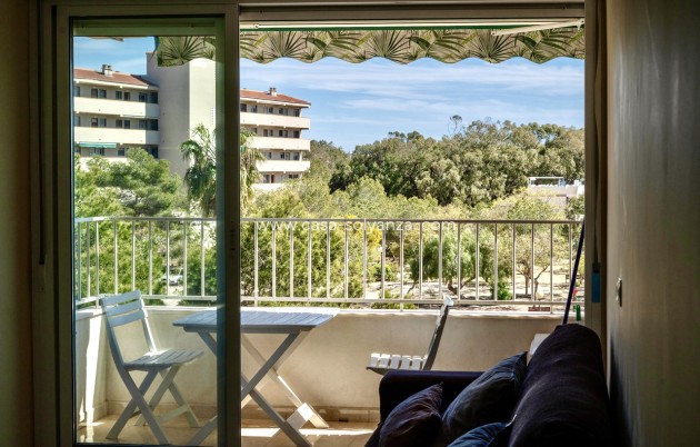 Herverkoop - Appartement / flat - Guardamar del Segura - Costa Blanca