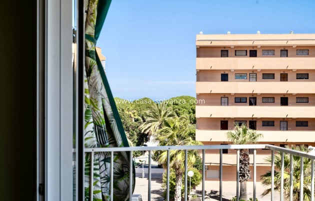 Herverkoop - Appartement / flat - Guardamar del Segura - Costa Blanca