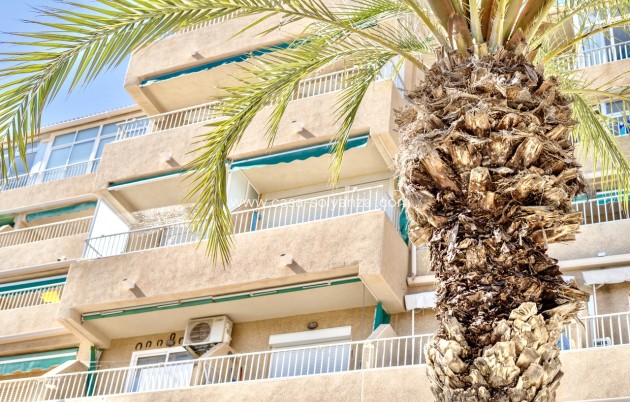 Herverkoop - Appartement / flat - Guardamar del Segura - Costa Blanca
