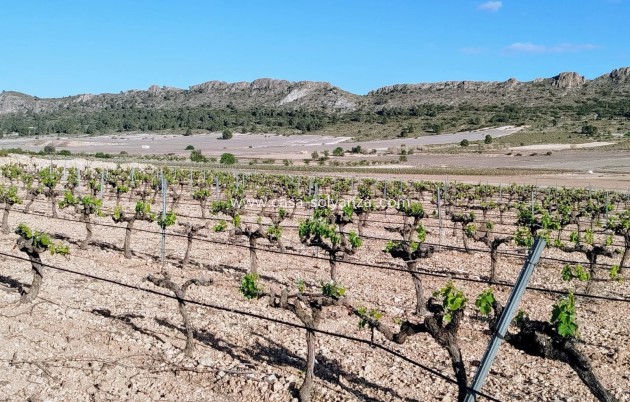 Resale - Country Property/Finca - Yecla - Inland