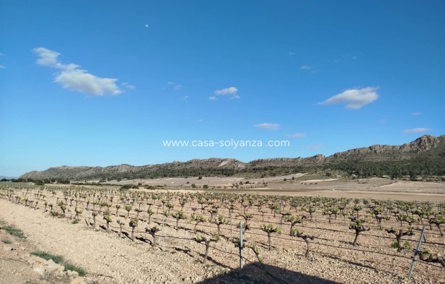 Resale - Country Property/Finca - Yecla - Inland