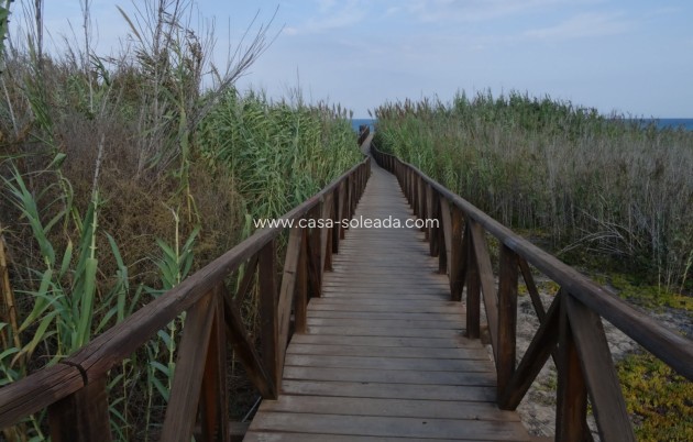 Wiederverkauf - Wohnung - Guardamar del Segura - Costa Blanca
