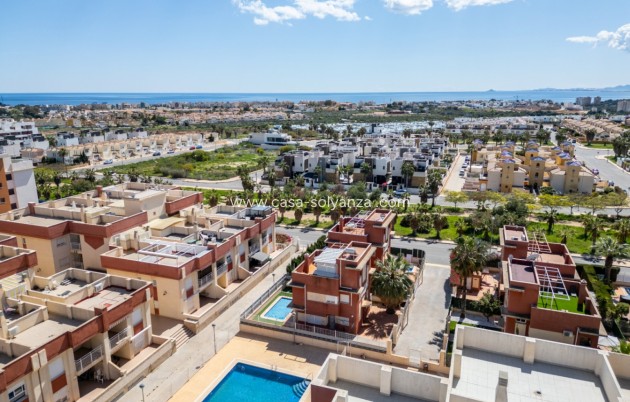 Wiederverkauf - Wohnung - Orihuela Costa - Campoamor