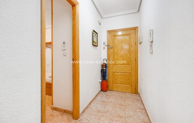 Revente - Appartement - Torrevieja - Puerto Deportivo Marina Salinas