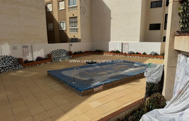 Revente - Estudio - Torrevieja - Playa de Los Locos-Curva del Palangre