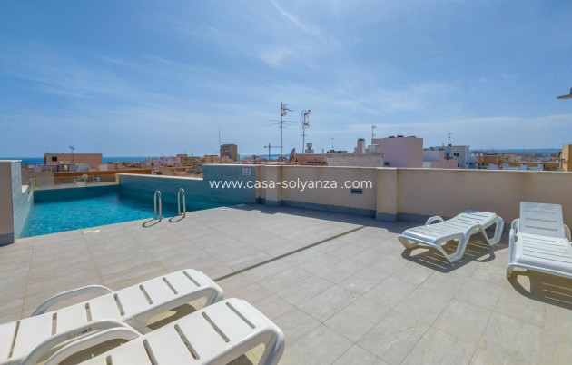 Reventa - Flat - Torrevieja - Estacion de autobuses