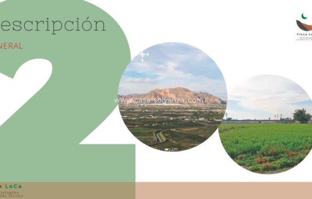 Resale - Country Property/Finca - Callosa de Segura - Inland