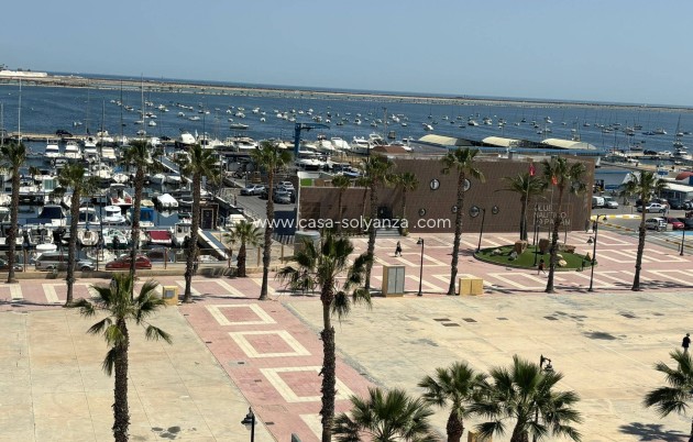 Revente - Appartement - Lo Pagan - La Puntica