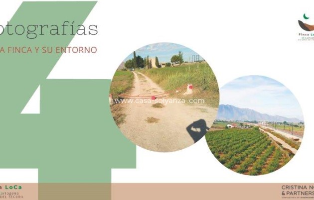 Resale - Country Property/Finca - Callosa de Segura - Inland