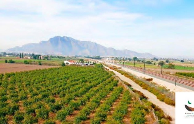 Resale - Country Property/Finca - Callosa de Segura - Inland