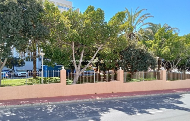 Resale - Apartment / flat - Torrevieja - Estacion Autobuses