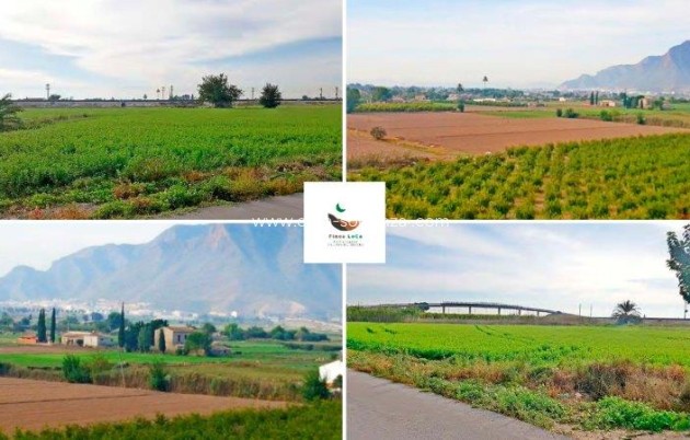 Resale - Country Property/Finca - Callosa de Segura - Inland