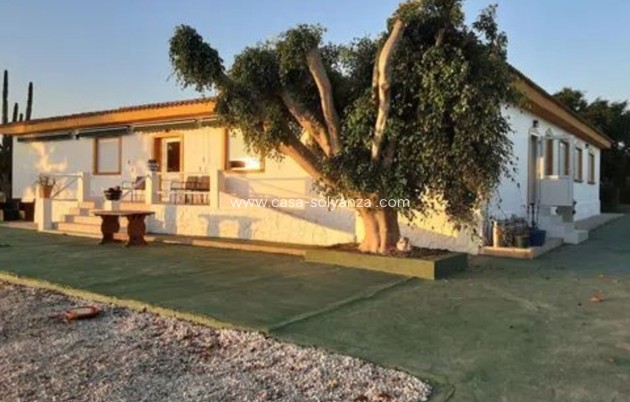 Resale - Villa - San Miguel de Salinas - Inland