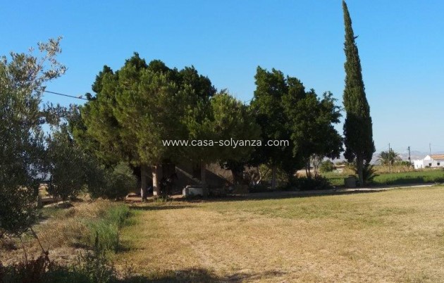 Resale - Country Property/Finca - Callosa de Segura - Inland